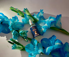 Co Enzymes 2 IN 1 - Glowing Moisturizer