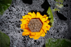 Aura Wash - Ayurveda Soap